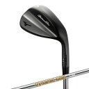 【ふるさと納税】Mizuno Pro T-1 ウエッジ ロフト角: 52-10(S-TYPE)5KJSB24290【1637670】