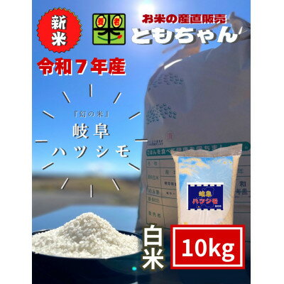 【ふるさと納税】令和7年産 岐阜ハツシモSL 白米 10kg【1690171】
