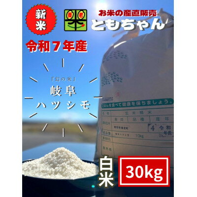 ڤդ뤵Ǽǡ7ǯϥĥSLơ30kg1690560