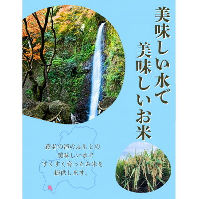 【ふるさと納税】令和7年産　にこまる　白米　5kg【1693239】