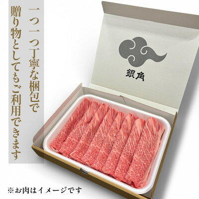 【ふるさと納税】厚切り【飛騨牛】サーロインステーキ500g(250g×2枚)_ 牛肉 和牛 国産牛 黒毛和牛 ぎゅうにく サーロインステーキ すてーき 冷凍 お取り寄せ グルメ 冷凍牛肉 ブランド牛肉 バーベキュー 【配送不可地域：離島】【1710562】 f213411-yoro-10001090 岐阜県養老町 サンプル画像3