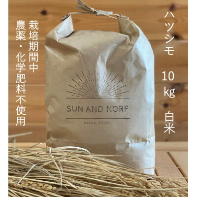 【ふるさと納税】【令和7年産】初霜(源種) 白米10kg (栽培期間中農薬・化学肥料不使用)【1721453】