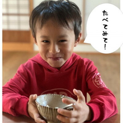 【ふるさと納税】【令和7年産】初霜(源種)　白米15kg　(栽培期間中農薬・化学肥料...