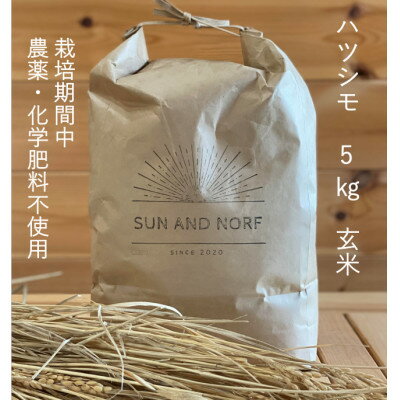 【ふるさと納税】【令和7年産】初霜(源種)　玄米5kg　(栽培期間中農薬・化学肥料不使用)【1721458】
