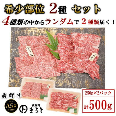 【ふるさと納税】【飛騨牛】お勧め希少部位2種セット　250g×2【配送不可地域：離島】【1721860】