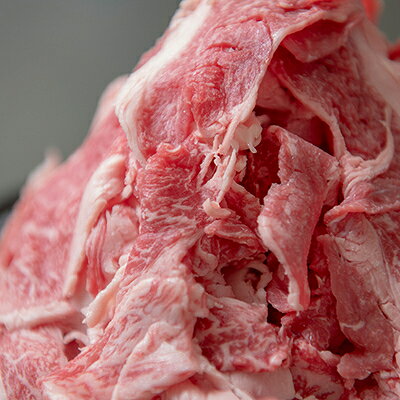 【ふるさと納税】飛騨牛 切り落とし 2.1kg(700g×3P) 訳あり 養老ミート【配送不可地域：離島】【1725008】