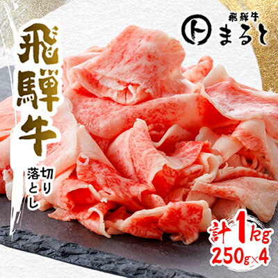 【ふるさと納税】【飛騨牛】切り落とし250g×4　合計1kg【配送不可地域：離島】【1731545】