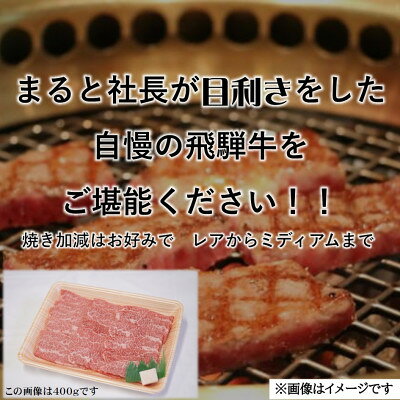 【ふるさと納税】【飛騨牛】赤身焼肉用　400g×2(合計800g)【配送不可地域：離島】【1731548】 f213411-yoro-10001148 岐阜県養老町 サンプル画像2