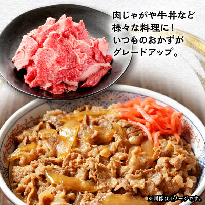 【ふるさと納税】【飛騨牛】切り落とし250g×3　合計750g【配送不可地域：離島】【1731551】 f213411-yoro-10001152 岐阜県養老町 サンプル画像2