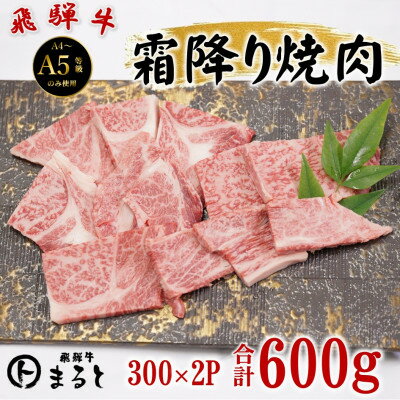 Rakuten - 【ふるさと納税】飛騨牛霜降り焼き肉 300g×2(合計600g)【配送不可地域：離島】【1735699】