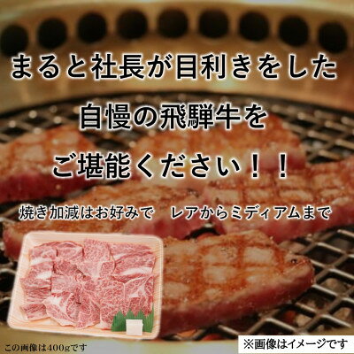 【ふるさと納税】飛騨牛霜降り焼き肉 400g×2パック(合計800g)【配送不可地域：離島】【1735700】 f213411-yoro-10001158 岐阜県養老町 サンプル画像2