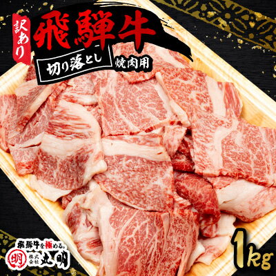 【ふるさと納税】【訳あり】飛騨牛 焼肉　切り落とし 1kg【配送不可地域：離島】【1749005】 f213411-yoro-10001181 岐阜県養老町 パッケージ画像