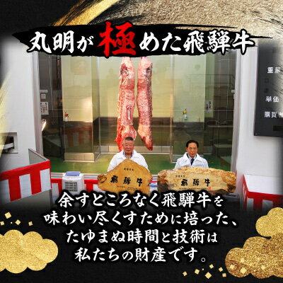 【ふるさと納税】【訳あり】飛騨牛 焼肉　切り落とし 1kg【配送不可地域：離島】【1749005】 f213411-yoro-10001181 岐阜県養老町 サンプル画像2