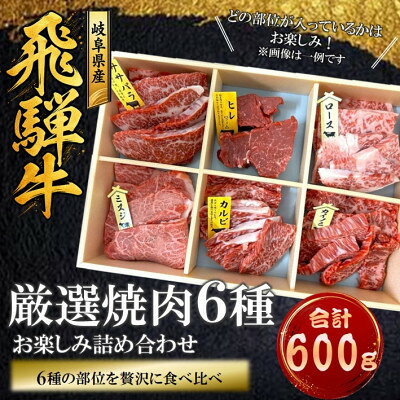 飛騨牛厳選焼肉6種詰め合わせ計600g【配送不可地域：離島】【1778142】