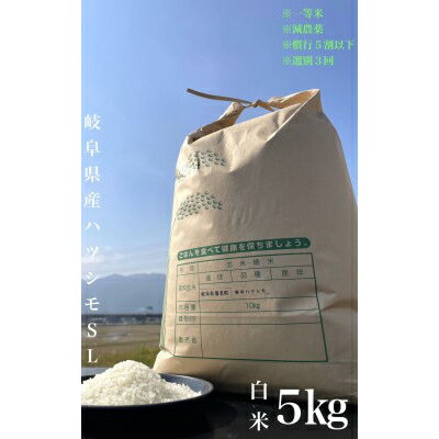 [毎月定期便]養老町産 岐阜ハツシモ 5kg 白米 全3回