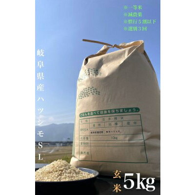 [毎月定期便]養老町産 岐阜ハツシモ 5kg 玄米 全3回