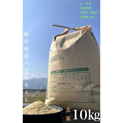 【ふるさと納税】【毎月定期便】養老町産　岐阜ハツシモ　10kg　玄米　全6回【4006207】