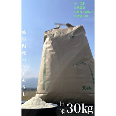 【ふるさと納税】【毎月定期便】養老町産　岐阜ハツシモ　30kg　白米　全6回【4006274】