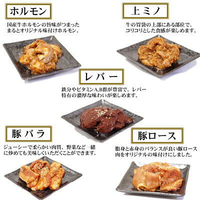 【ふるさと納税】【毎月定期便】毎月届く　焼き肉セット(霜降り焼き肉&味付けホルモンなど)全3回【配送不可地域：離島】【4084036】 f213411-yoro-10001132 岐阜県養老町 サンプル画像2