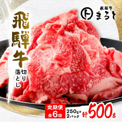 [毎月定期便]飛騨牛 切り落とし250g×2パック すきやき・しゃぶしゃぶ・牛丼など全6回[配送不可地域:離島]