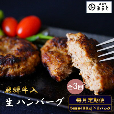 [毎月定期便][3か月定期便]飛騨牛入り特製生ハンバーグ 100g×10個全3回[配送不可地域:離島]