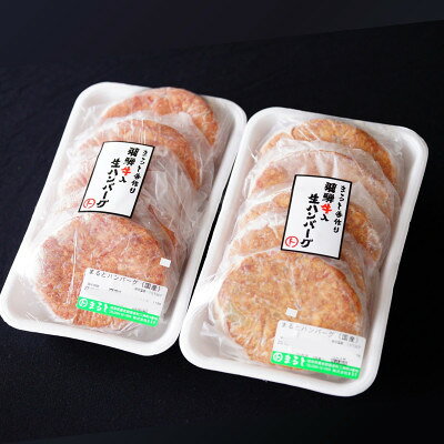 【ふるさと納税】【毎月定期便】【3か月定期便】飛騨牛入り特製生ハンバーグ　100g×10個全3回【配送不可地域：離島】【4087879】