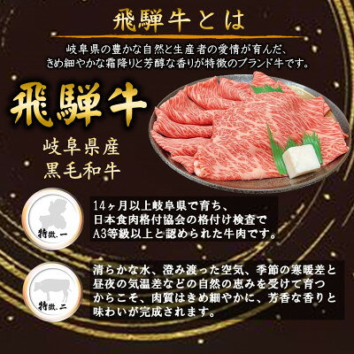 【ふるさと納税】【3ヵ月毎定期便】特選ロース(焼肉・うす切り)とシャトーブリアン全3回【配送不可地域：離島】【4088142】 f213411-yoro-10001172 岐阜県養老町 サンプル画像3
