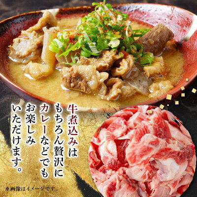 【ふるさと納税】【毎月定期便】【飛騨牛】スジ肉 煮込み用 1kg 岐阜県産 黒毛和牛全3回【配送不可地域：離島】【4088364】