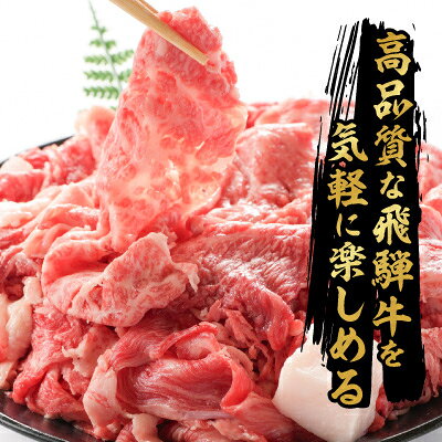 【ふるさと納税】【毎月定期便】【訳あり】飛騨牛　切り落とし(コマ切れ) (500g /700g/1kg　全3回)【配送不可地域：離島】【G4088451】
