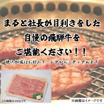 【ふるさと納税】【毎月定期便】飛騨牛　赤身焼肉　400g全3回【配送不可地域：離島】【4088612】