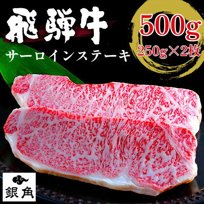 [毎月定期便]厚切り[飛騨牛]サーロインステーキ500g(250g×2枚)全3回[配送不可地域:離島]