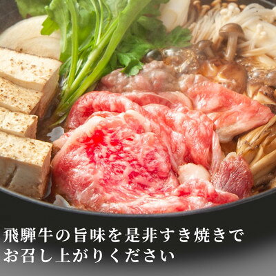 【ふるさと納税】【毎月定期便】【訳あり】飛騨牛切り落としすき焼き用600g全3回【配送不可地域：離島】【4090428】