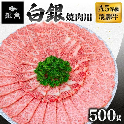 [毎月定期便][飛騨牛]白銀焼肉用500g全3回[配送不可地域:離島]