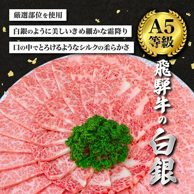 【ふるさと納税】【毎月定期便】【飛騨牛】白銀焼肉用500g全3回【配送不可地域：離島】【4090430】 f213411-yoro-10001249 岐阜県養老町 サンプル画像2