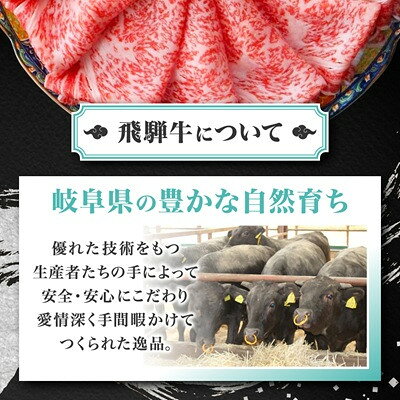 【ふるさと納税】【毎月定期便】【飛騨牛】白銀焼肉用500g全3回【配送不可地域：離島】【4090430】 f213411-yoro-10001249 岐阜県養老町 サンプル画像3
