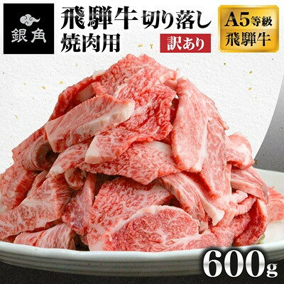 【ふるさと納税】【毎月定期便】【訳あり】飛騨牛切り落し焼肉用600g全3回【配送不可地域：離島】【4090432】