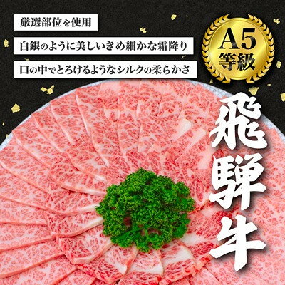 【ふるさと納税】【毎月定期便】【訳あり】飛騨牛切り落し焼肉用600g全3回【配送不可地域：離島】【4090432】