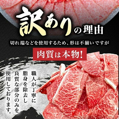 【ふるさと納税】【毎月定期便】【訳あり】飛騨牛切り落し焼肉用600g全3回_ 牛肉 肉 和牛 訳あり 切落し 不揃い 黒毛和牛 焼肉 ステーキ 人気 お取り寄せ グルメ 冷凍牛肉 ブランド牛肉 バーベキュー 銀角 【配送不可地域：離島】【4090432】 f213411-yoro-10001251 岐阜県養老町 サンプル画像3