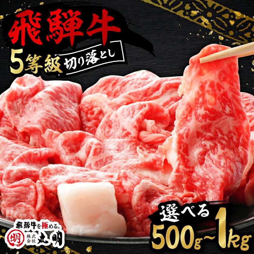 【ふるさと納税】【訳あり】飛騨牛5等級 切り落とし用途いろいろ[500g/800g/1kg]_ 飛騨牛 肉 5等級 牛肉 牛 にく ニク お肉 切り落とし 切り落し コマ切れ すきやき すき焼き しゃぶしゃぶ 牛丼 炒め物 国産 ギフト プレゼント 冷凍 【配送不可地域：離島】【G1034745】