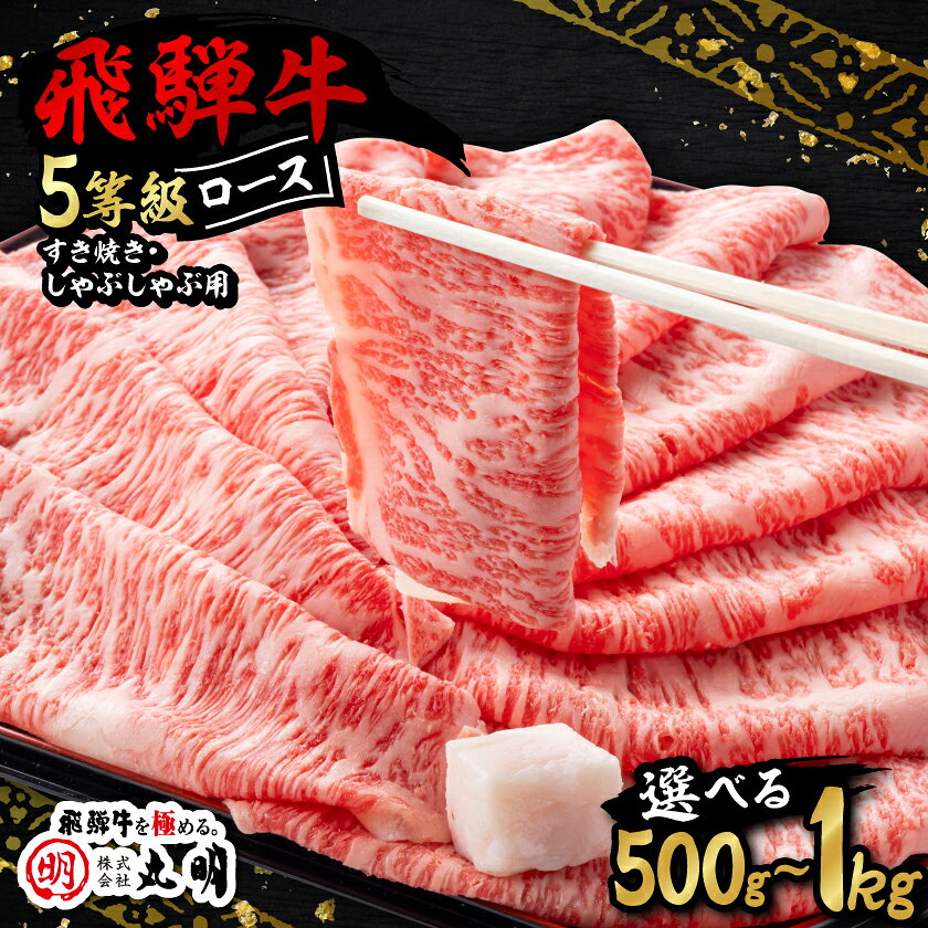飛騨牛5等級ロース・すき焼きしゃぶしゃぶ用 500g/800g/1kg[配送不可地域:離島][G1043499]