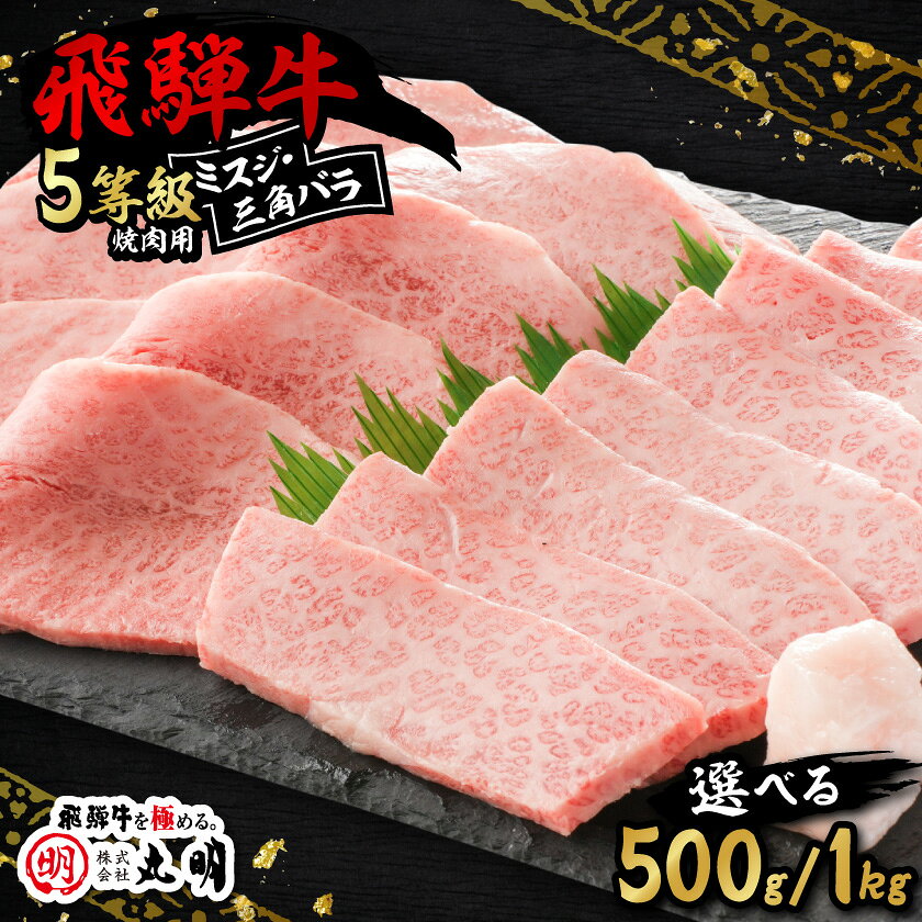 【ふるさと納税】飛騨牛5等級 ミスジ・三角バラ 焼肉用 (500g/1kg)_ 牛肉 肉 和牛 黒毛和牛 ミスジ バラ 焼肉 人気 お取り寄せ グルメ 冷凍牛肉 ブランド牛肉 バーベキュー 丸明 【配送不可地域：離島】【G1043501】 f213411-yoro-10000510 岐阜県養老町 パッケージ画像