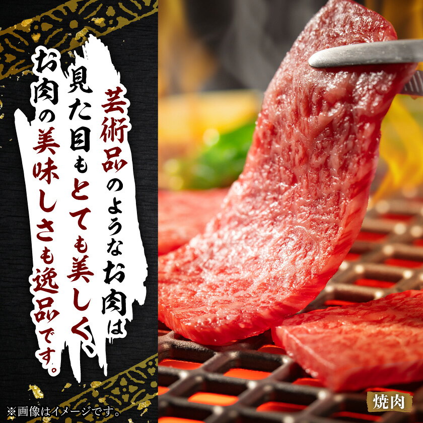 【ふるさと納税】飛騨牛5等級 ミスジ・三角バラ 焼肉用 (500g/1kg)_ 牛肉 肉 和牛 黒毛和牛 ミスジ バラ 焼肉 人気 お取り寄せ グルメ 冷凍牛肉 ブランド牛肉 バーベキュー 丸明 【配送不可地域：離島】【G1043501】 f213411-yoro-10000510 岐阜県養老町 サンプル画像2