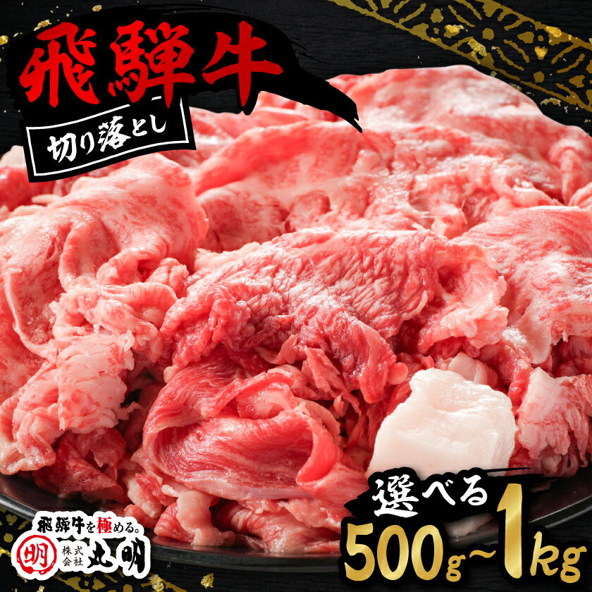 Rakuten - 【ふるさと納税】【訳あり】飛騨牛　切り落とし(コマ切れ)[500g/700g/1kg]【配送不可地域：離島】【G1043507】