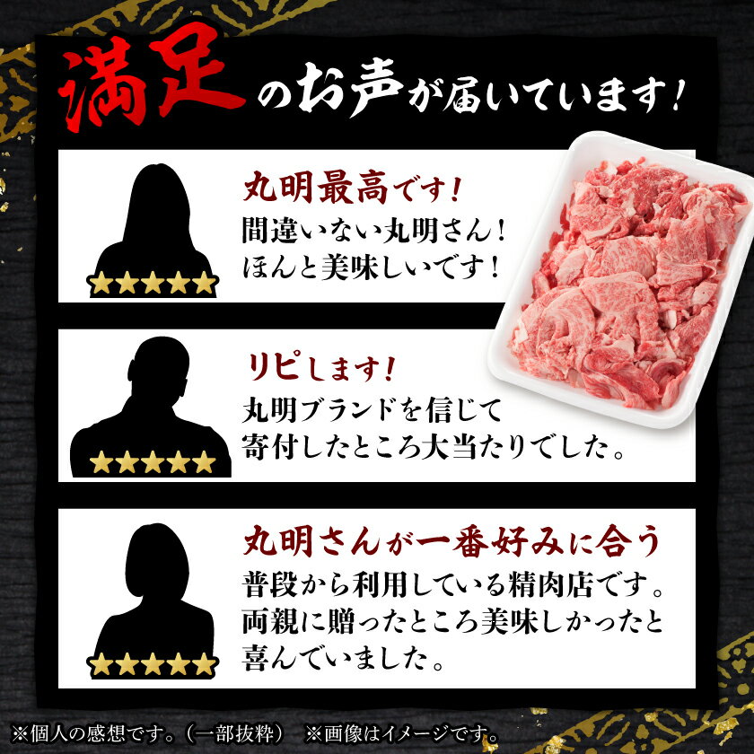 【ふるさと納税】【訳あり】飛騨牛　切り落とし(コマ切れ)[500g/700g/1kg]【配送不可地域：離島】【G1043507】