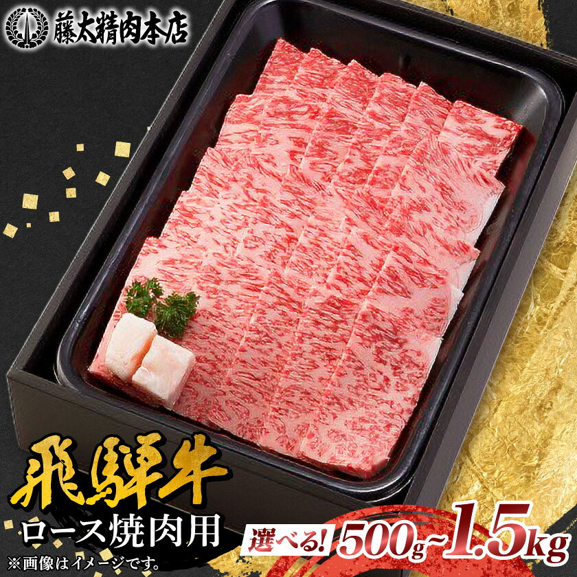 [飛騨牛]ロース焼肉 岐阜県産 黒毛和牛 BBQ 贈り物にも(500g/1kg/1.5kg)[配送不可地域:離島][G1046749]