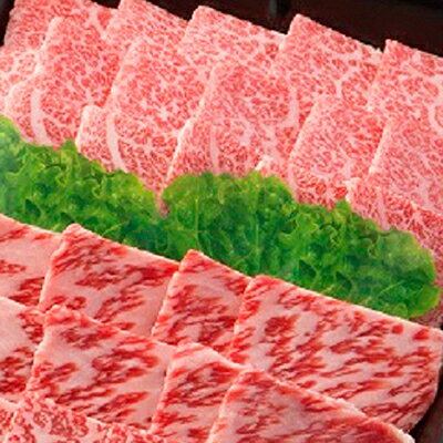 【ふるさと納税】【飛騨牛】肉厚ロースと霜降りカルビの詰め合わせ 焼肉用 岐阜県産 黒毛和牛　800g/1.6kg_ 肉 飛騨牛 牛肉 ロース カルビ 焼肉用 詰め合わせ 牛 お肉 精肉 黒毛和牛 国産 岐阜県 養老町 ギフト プレゼント 冷凍 送料無料 【配送不可地域：離島】【G1046752】 f213411-yoro-10000872 岐阜県養老町 サンプル画像2