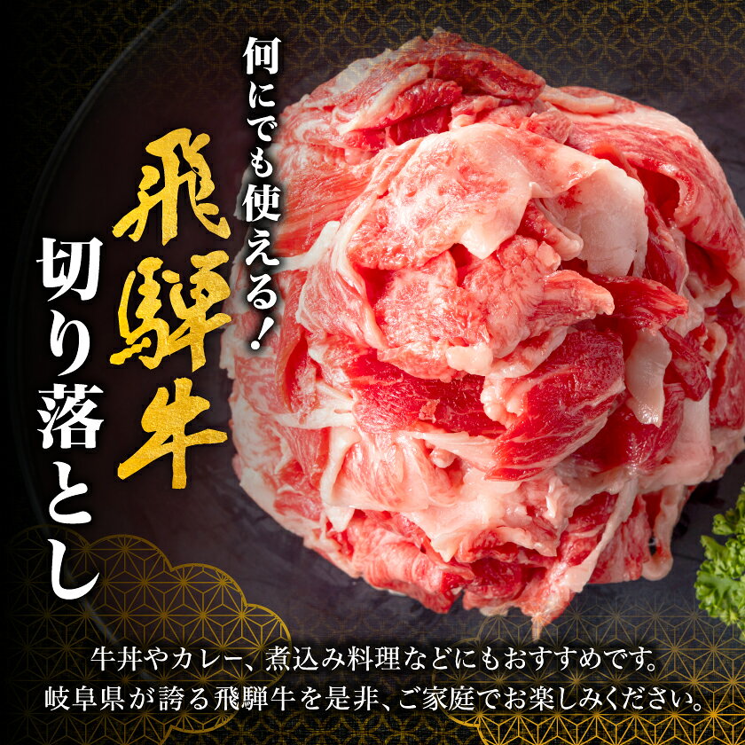 【ふるさと納税】何にでも使える!【飛騨牛】切り落とし800g 岐阜県産 黒毛和牛_ 飛騨牛 牛肉 肉 牛 お肉 にく ニク 精肉 国産 切り落とし 切落し 800g おかず 牛丼 肉じゃが カレー 贈答 ギフト プレゼント 贈り物 自宅用 岐阜県 冷凍【配送不可地域：離島】【1046755】 f213411-yoro-10000520 岐阜県養老町 サンプル画像3