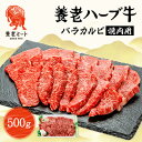 【ふるさと納税】養老ハーブ牛 バラカルビ 焼肉用 500g【配送不可地域:離島】【1273628】