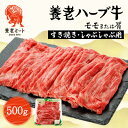 【ふるさと納税】養老ハーブ牛 モモまたは肩 すき焼き・しゃぶしゃぶ両用 500g【配送不可地域:離島】【1273629】