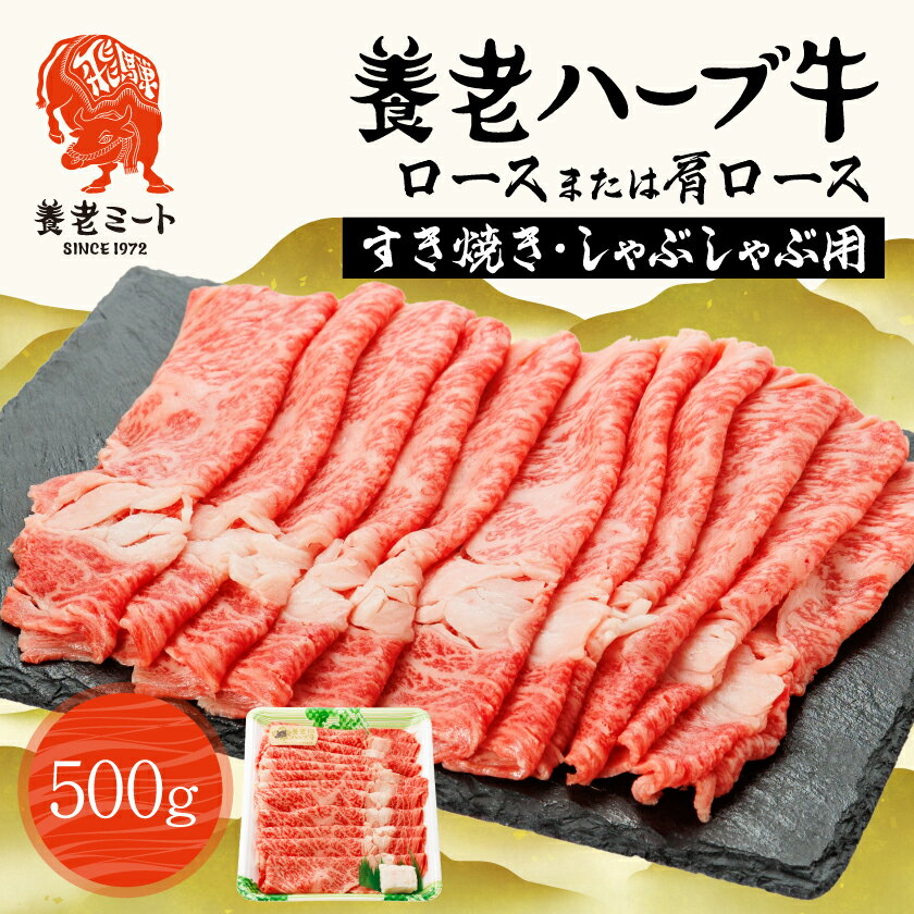 【ふるさと納税】養老ハーブ牛　ロースまたは肩ロース　すき焼き・しゃぶしゃぶ両用　500g【配送不可地 ...